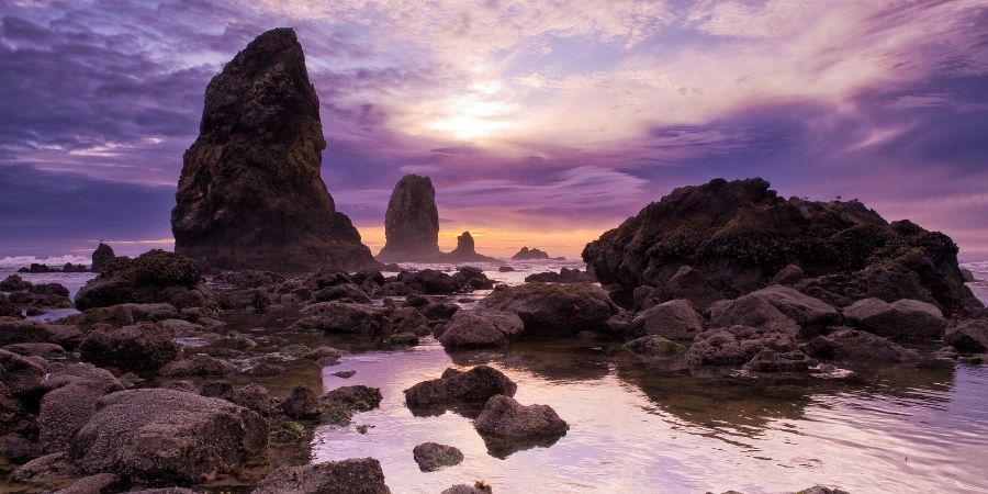 Top Coastal Beaches to Visit in Oregon 