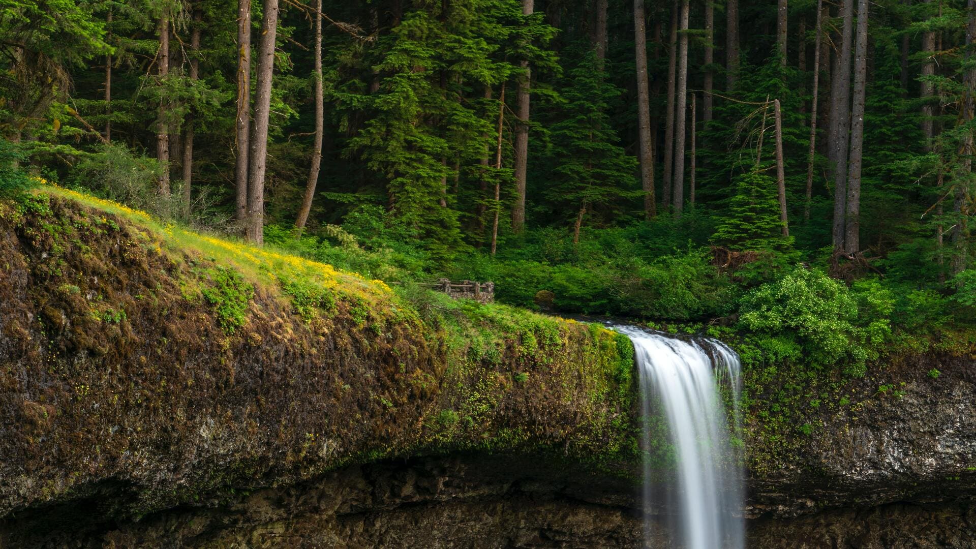Lebanon, Oregon Neighborhood Overview & Living Insights