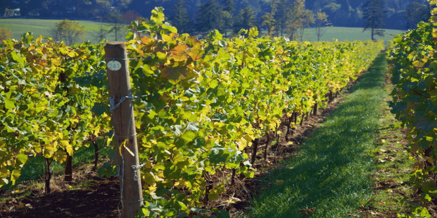 7 Reasons You'll Love Living in Oregon 